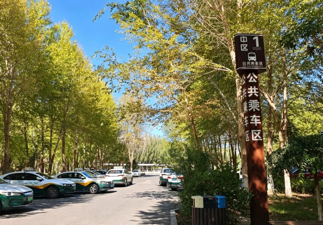 Public transport and taxi return area